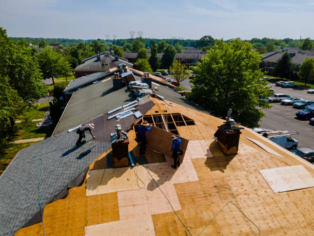 Best Shingle Roofing Installation  in Warren Af, WY